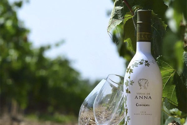 Projecte Viñas de Anna Blanc de Blancs